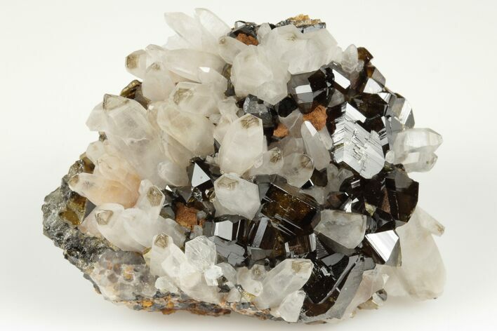 Gemmy Cassiterite Crystal Cluster - Viloco Mine, Bolivia #192163